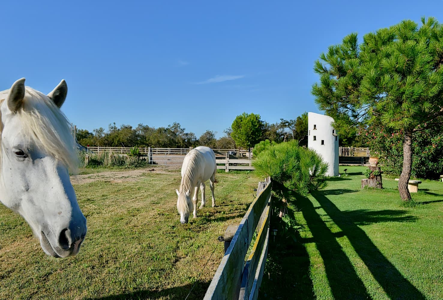 Hôtel Mas de la Grenouillere