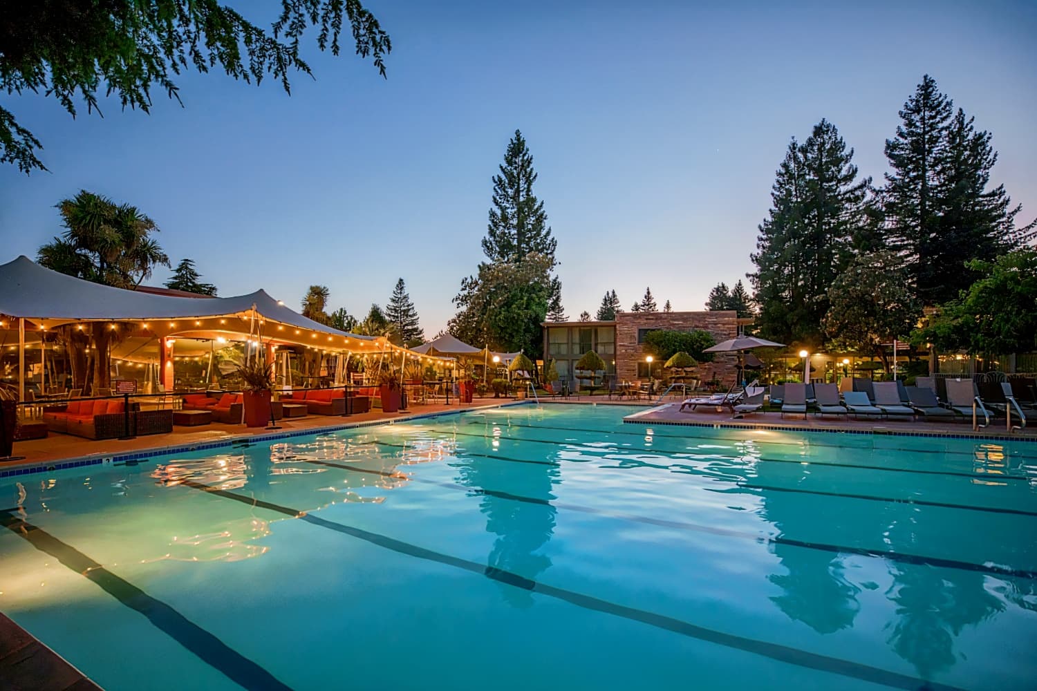 Flamingo Conference Resort & Spa