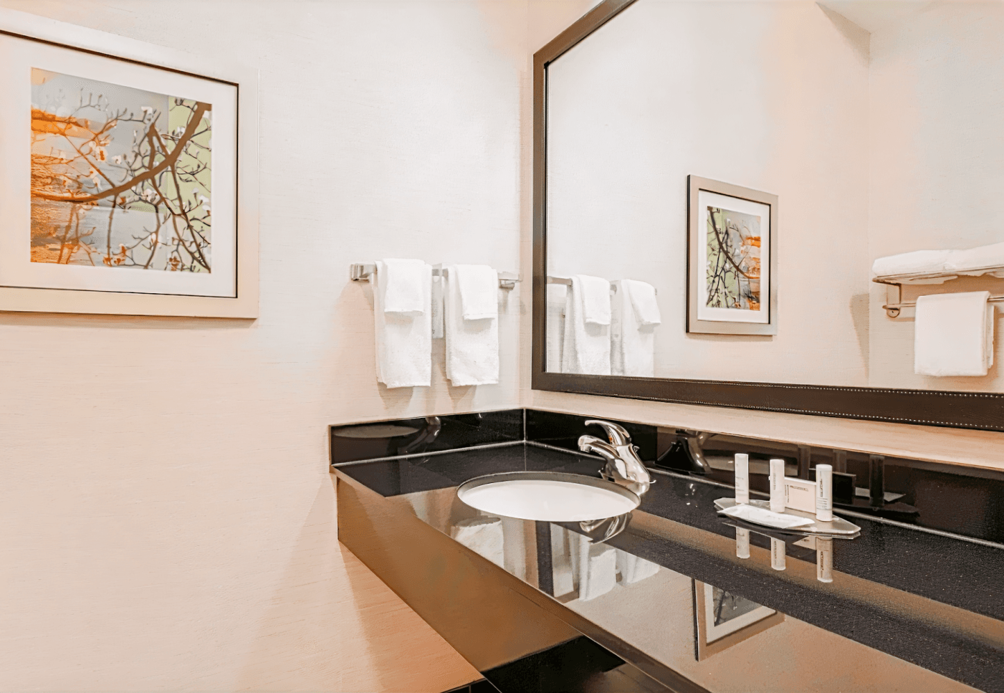 Fairfield Inn & Suites by Marriott Tampa Fairgrounds/Casino