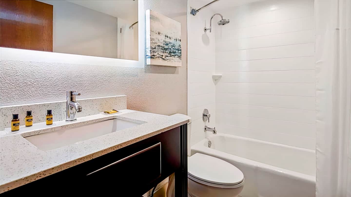 Best Western Plus Dallas Love Field North