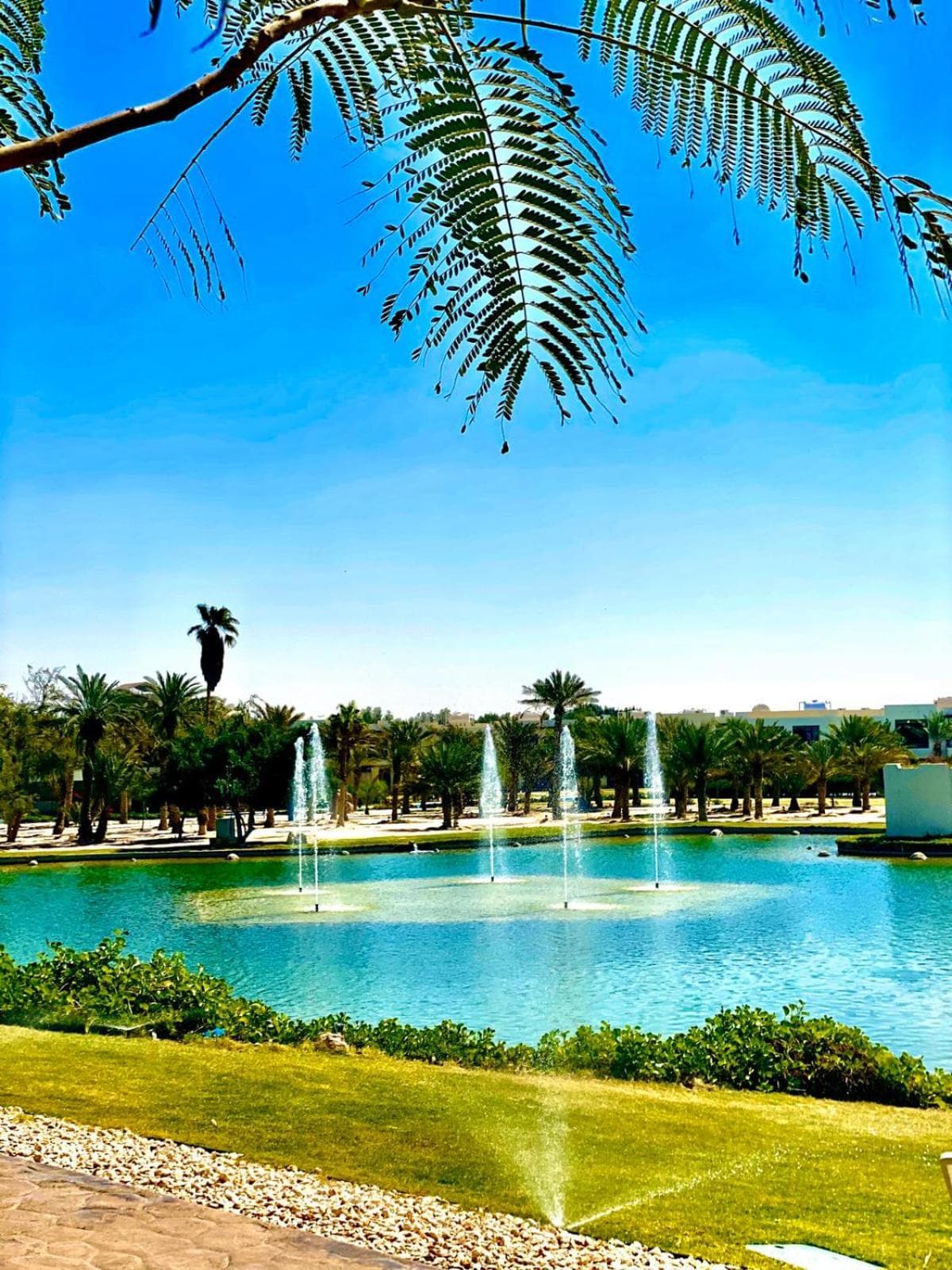 Retaj Salwa Resort and Spa