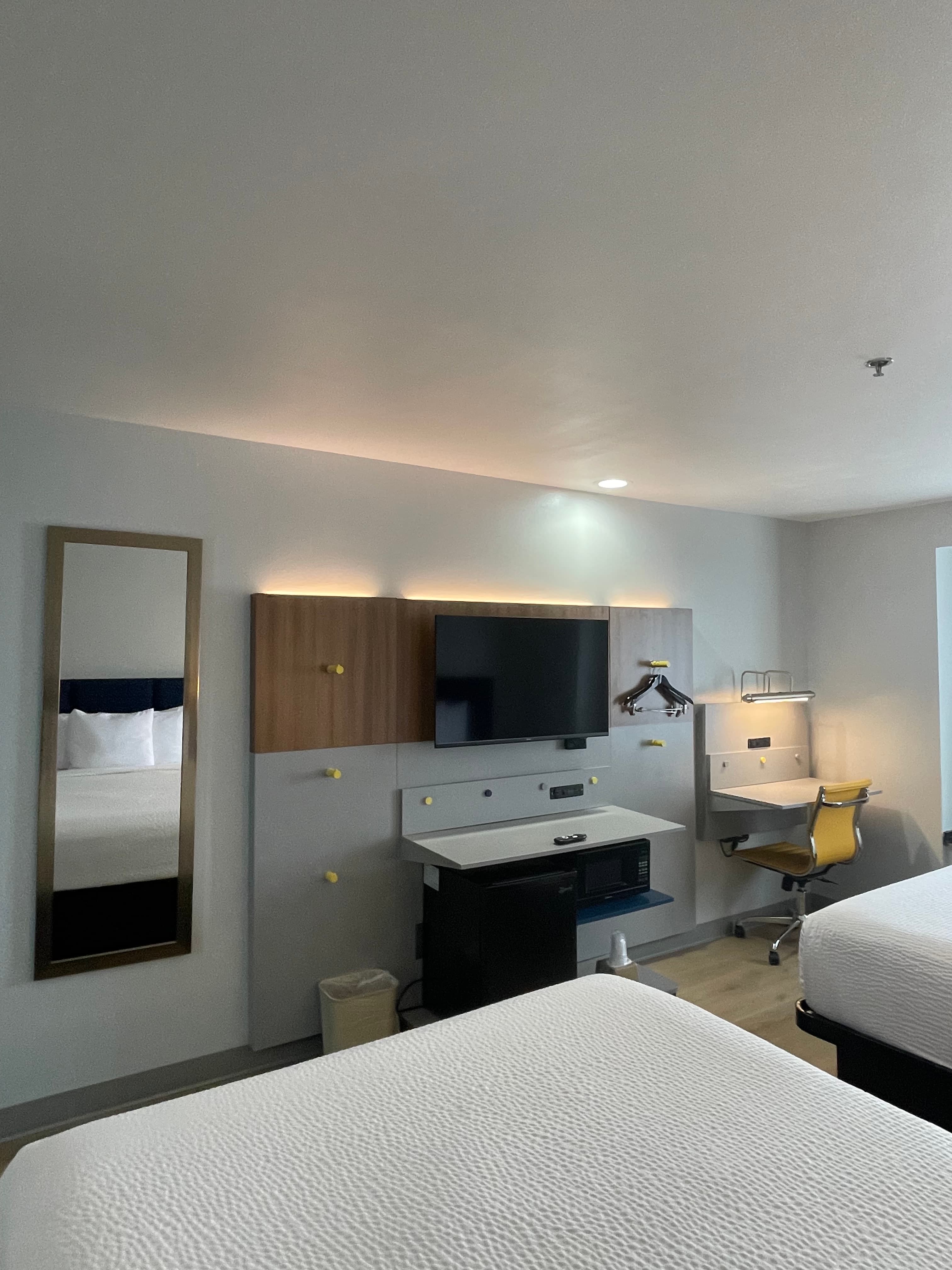 Microtel Inn & Suites by Wyndham Baton Rouge Airport