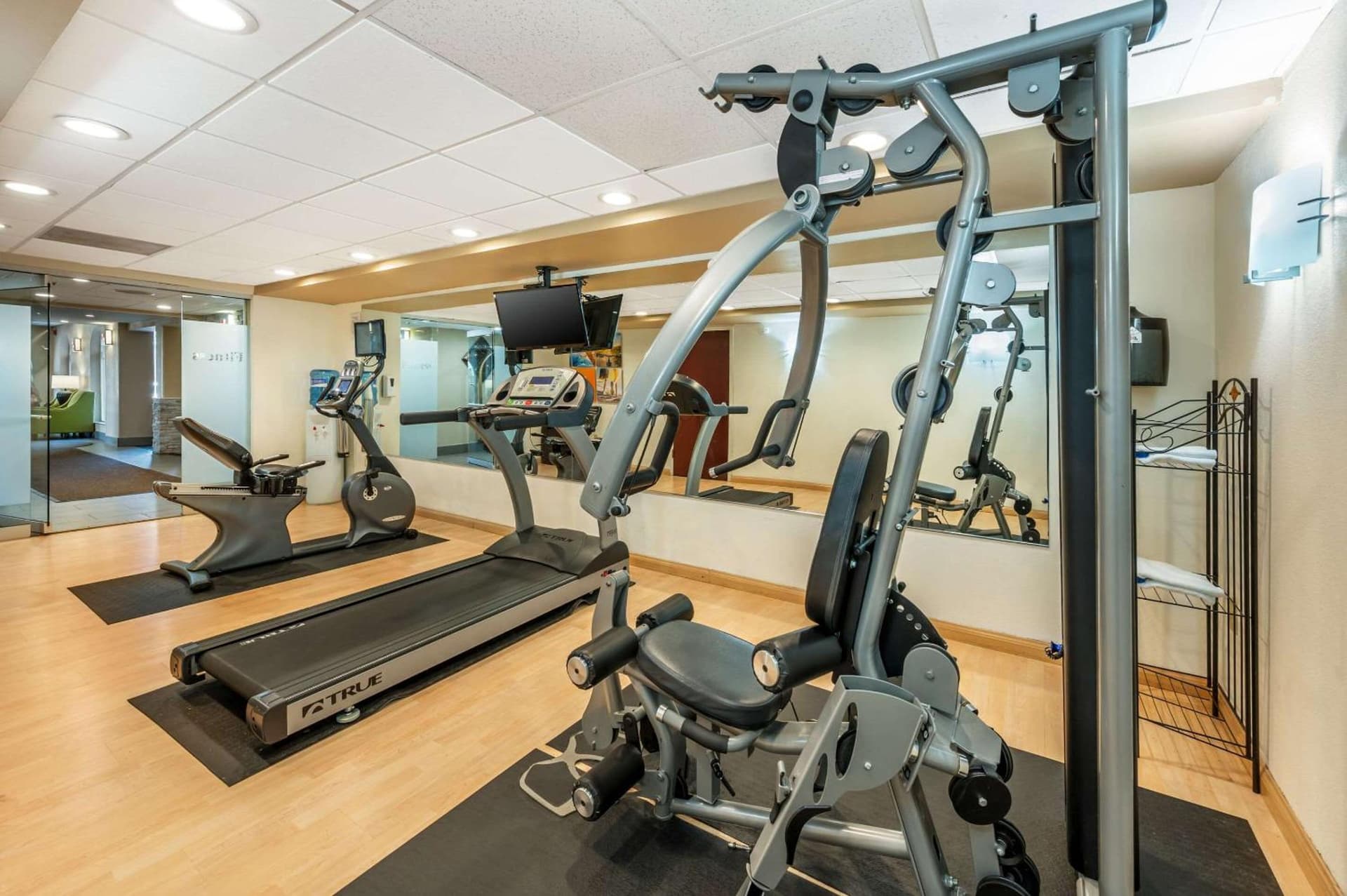 Comfort Inn & Suites East Hartford - Hartford