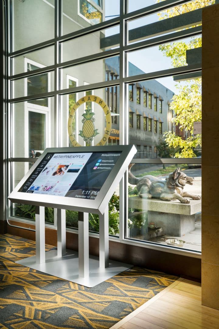 Staypineapple, Watertown, University District Seattle