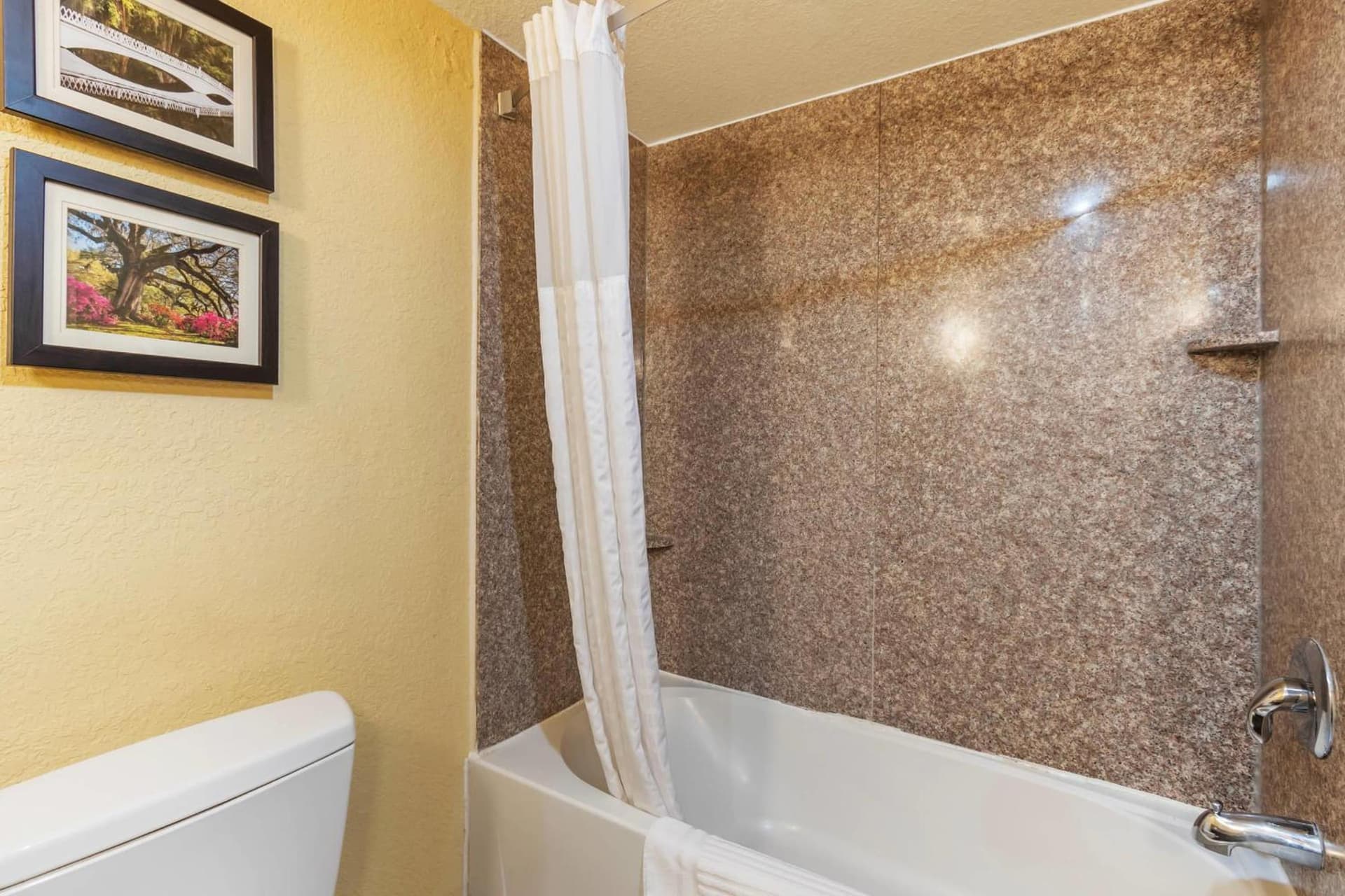 Comfort Inn & Suites Charleston Airport Convention Center